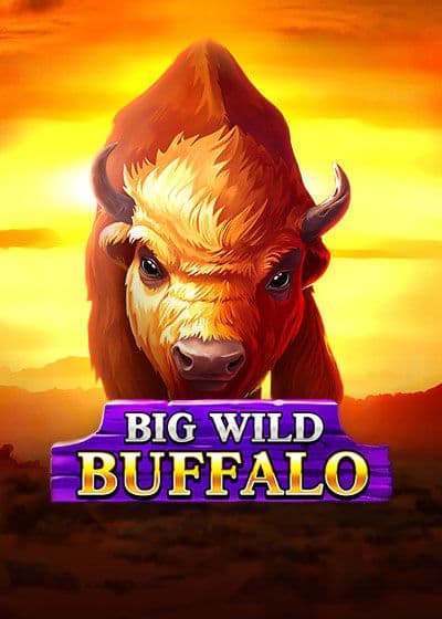BIGCasino (BestInGame) Big Casino Login